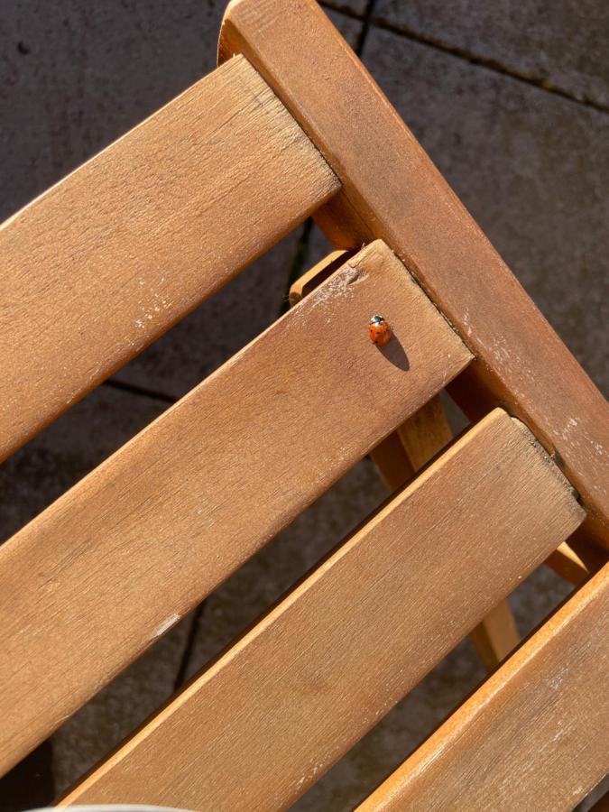 Duplex 6 Plazas Para Desconectar De La Rutina Oliana Kültér fotó